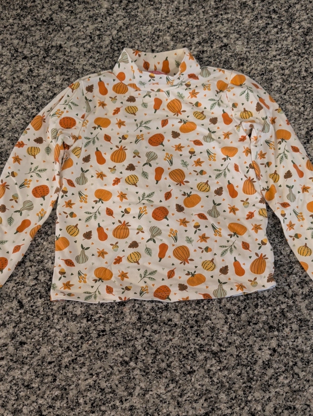 Isaac Mizrahi White Top with Orange Pumpkin and Green Leaf Print